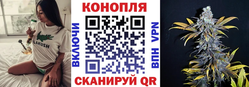 Где найти наркотики Моздок LSD-25  KRAKEN   МАРИХУАНА  Альфа ПВП  Меф 